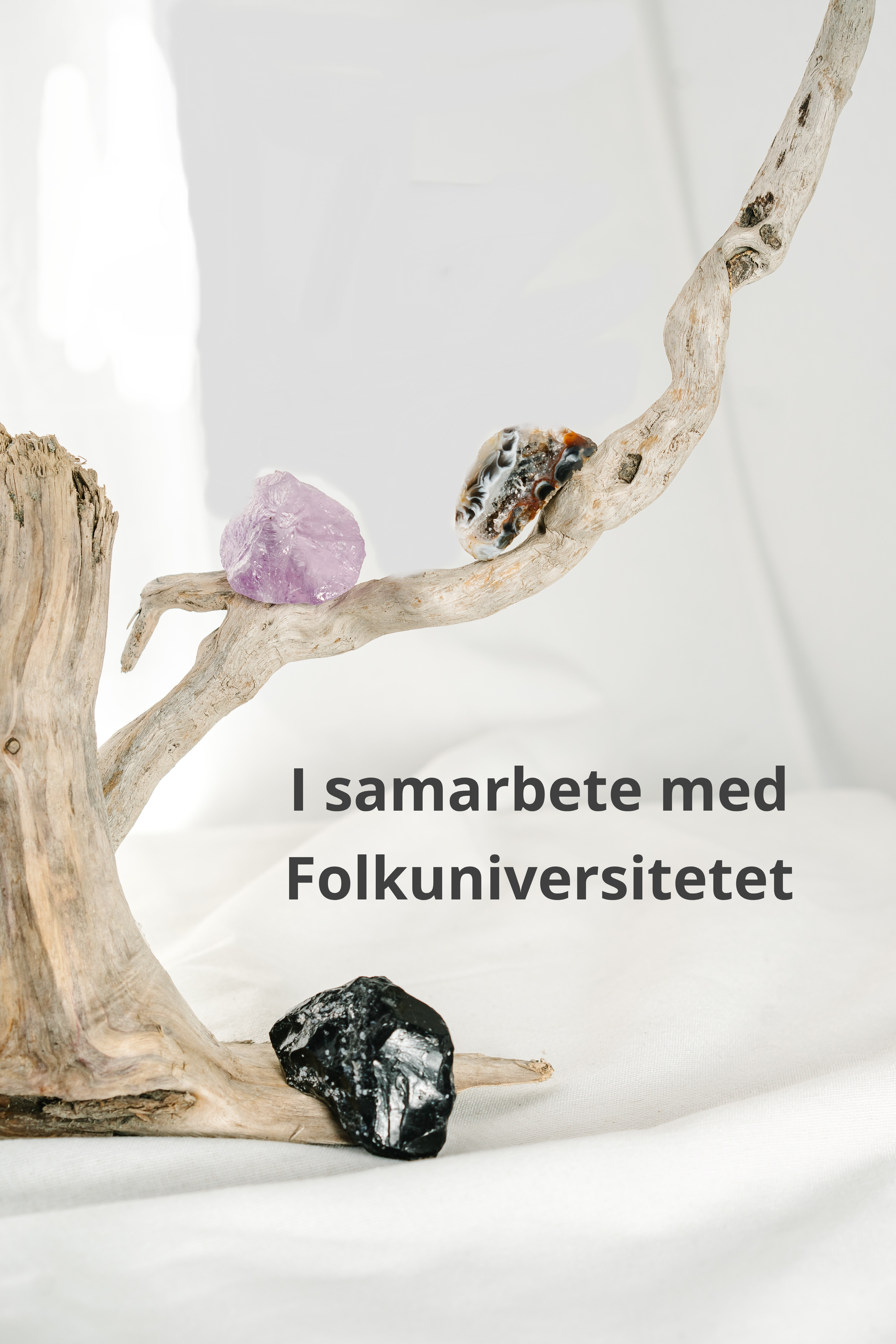 FEM ELEMENTEN QIGONG