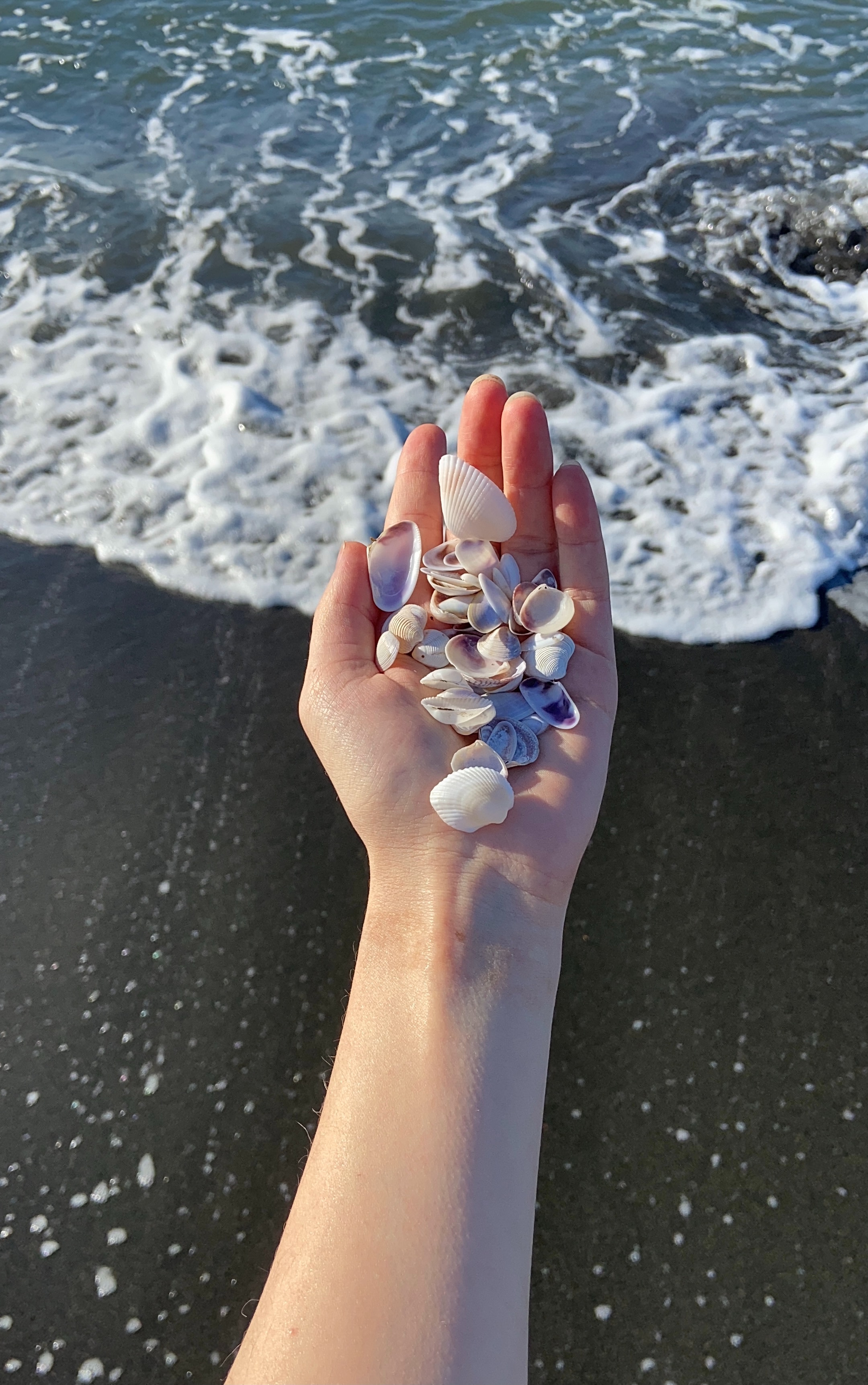 MAGIC IS IN YOUR HAND