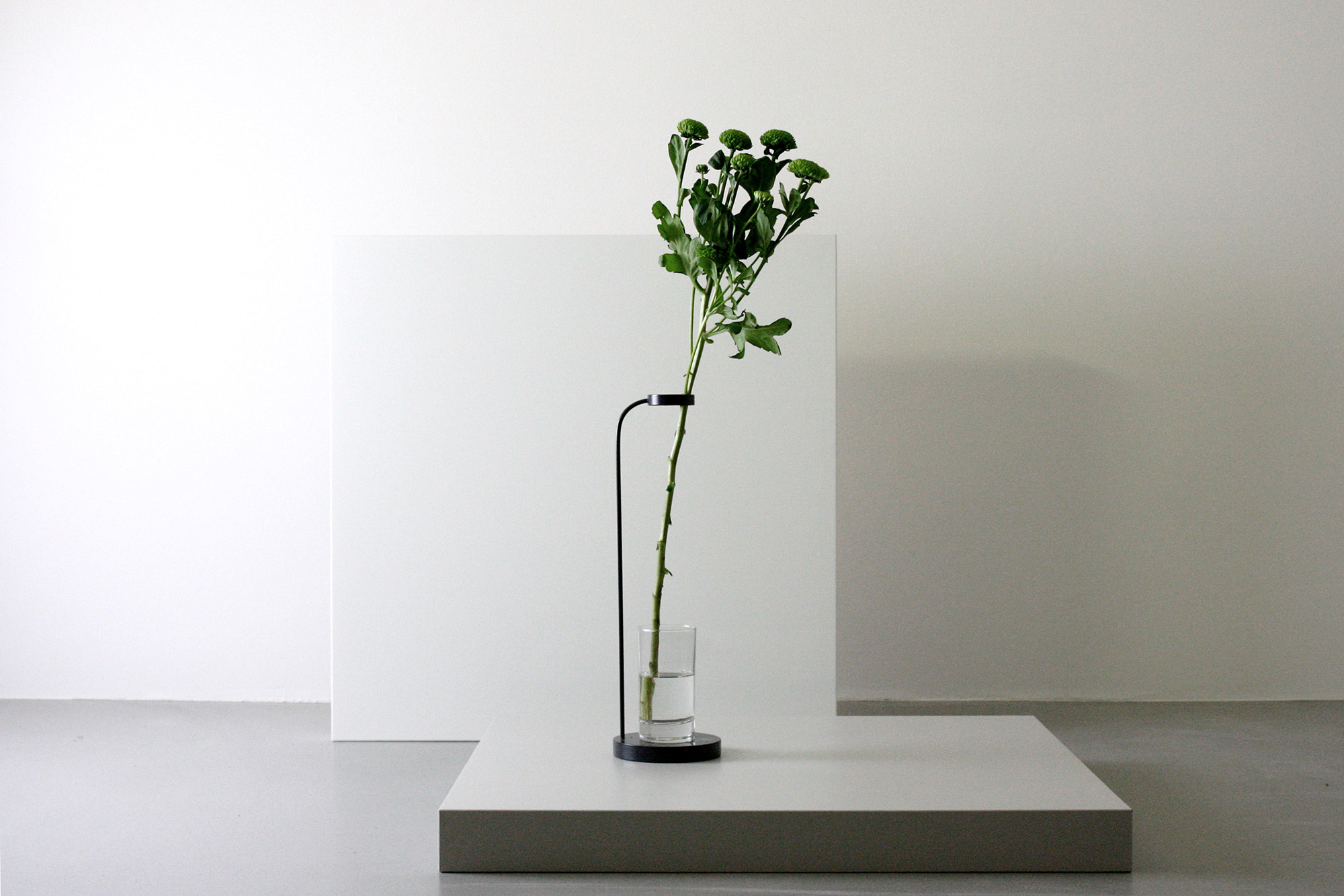 BEAUTY WITH BALANCE